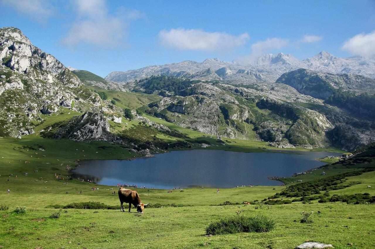 Casa Rural La Carrozal Senda Del Oso Orelleiru エクステリア 写真