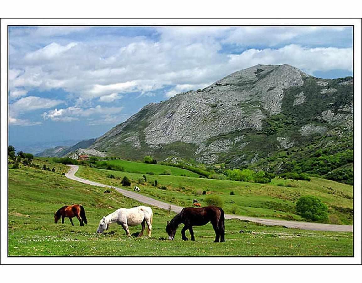 Casa Rural La Carrozal Senda Del Oso Orelleiru エクステリア 写真